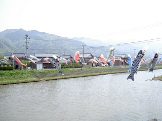 koinobori