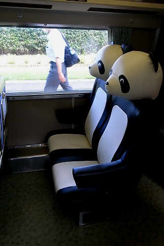 Panda_Train