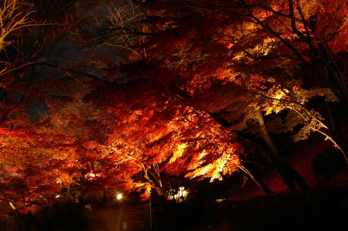 kyoto_kiyomizu