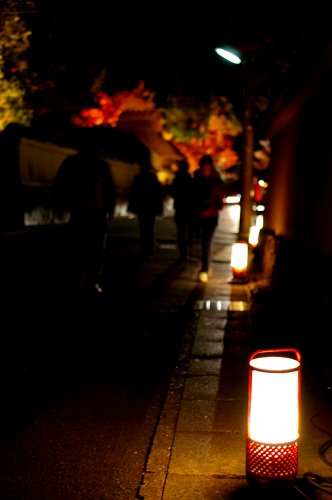 arashiyama