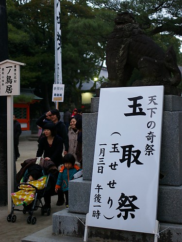 hakozaki shrine