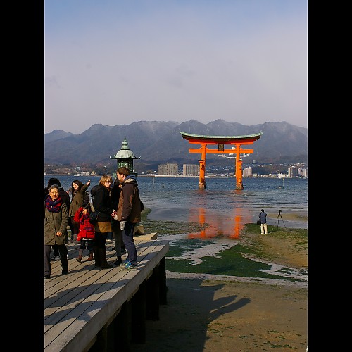 itsukushima_shine